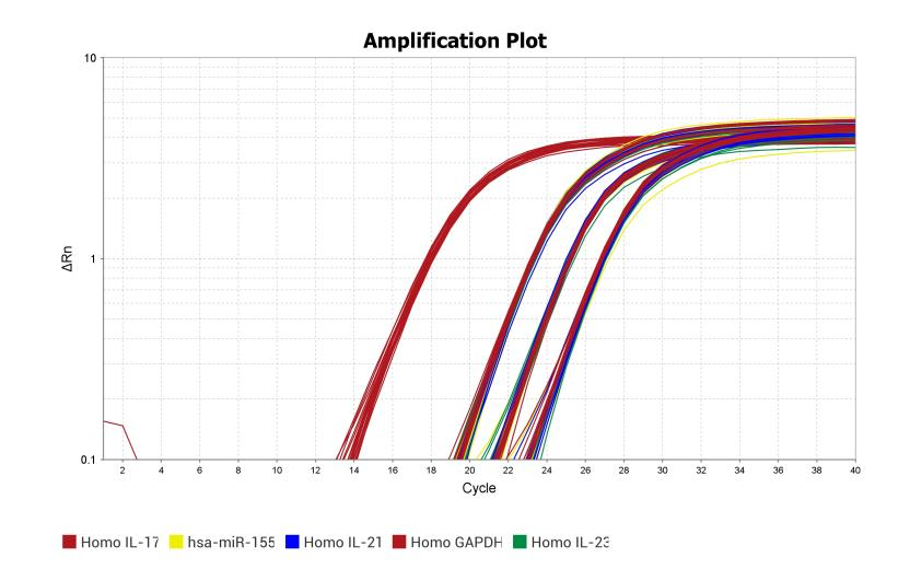 实时荧光定量PCR技术：步骤详解与实验操作技巧
