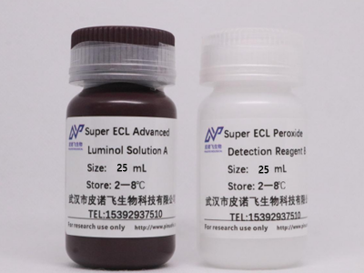 ECL化学发光超敏显色试剂盒