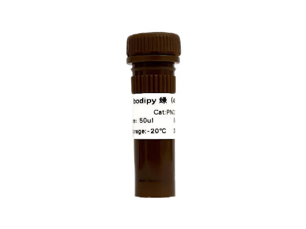 Bodipy绿（493/503）中性脂滴染料