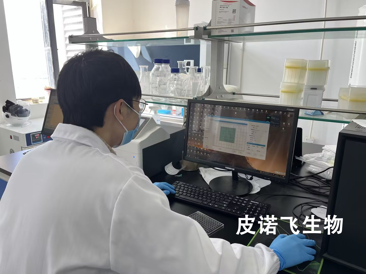 细胞检测服务 - 全方位评估细胞状态、功能与安全性 | 专业细胞检测平台