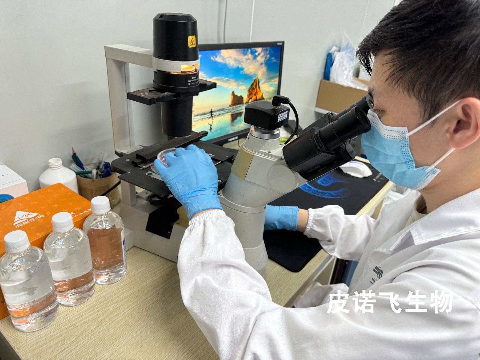 细胞技术服务：贯穿研究生命周期的综合性解决方案