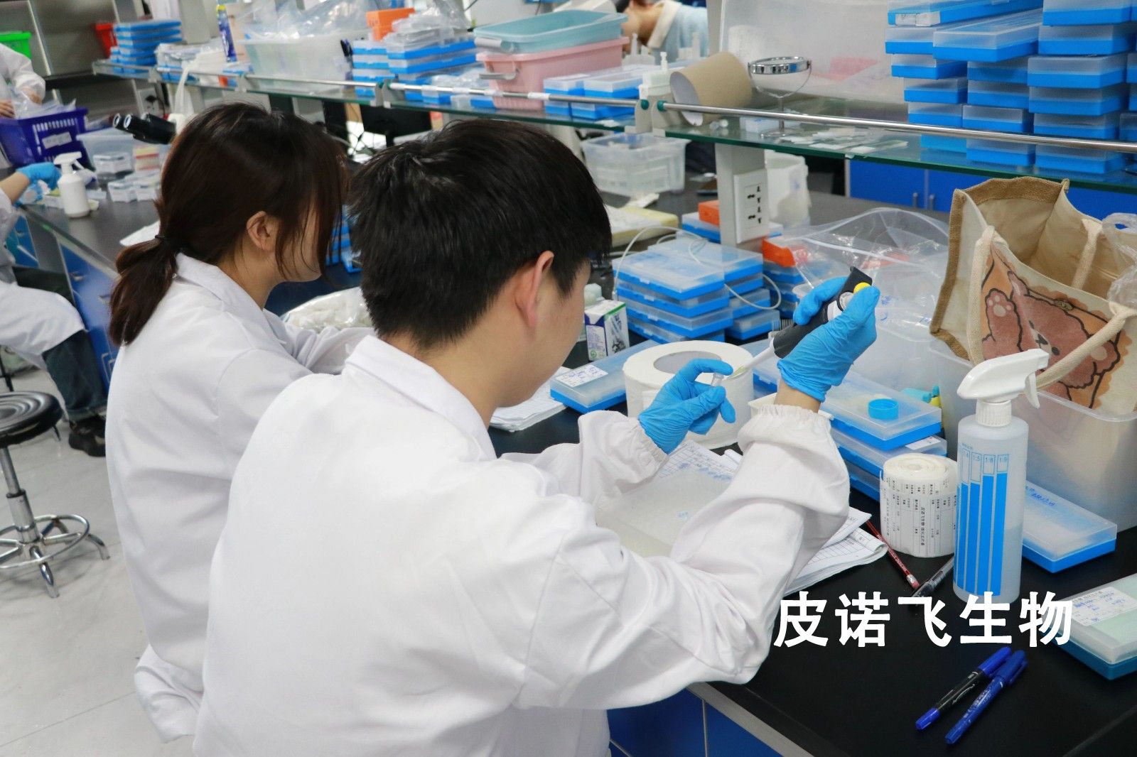 免疫组化实验_免疫组化染色服务_IHC蛋白定位检测-皮诺飞生物