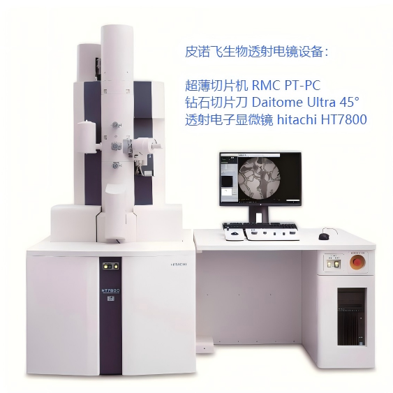 51100a72-bdc5-4191-94cd-ed3c0e2045db(1).png