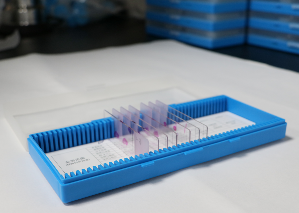 深入探索病理切片观察实验的奥秘与实践