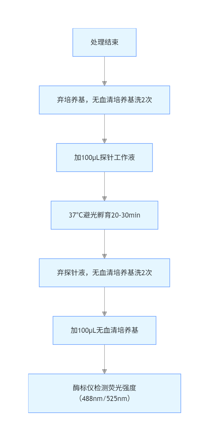 exported_image.png