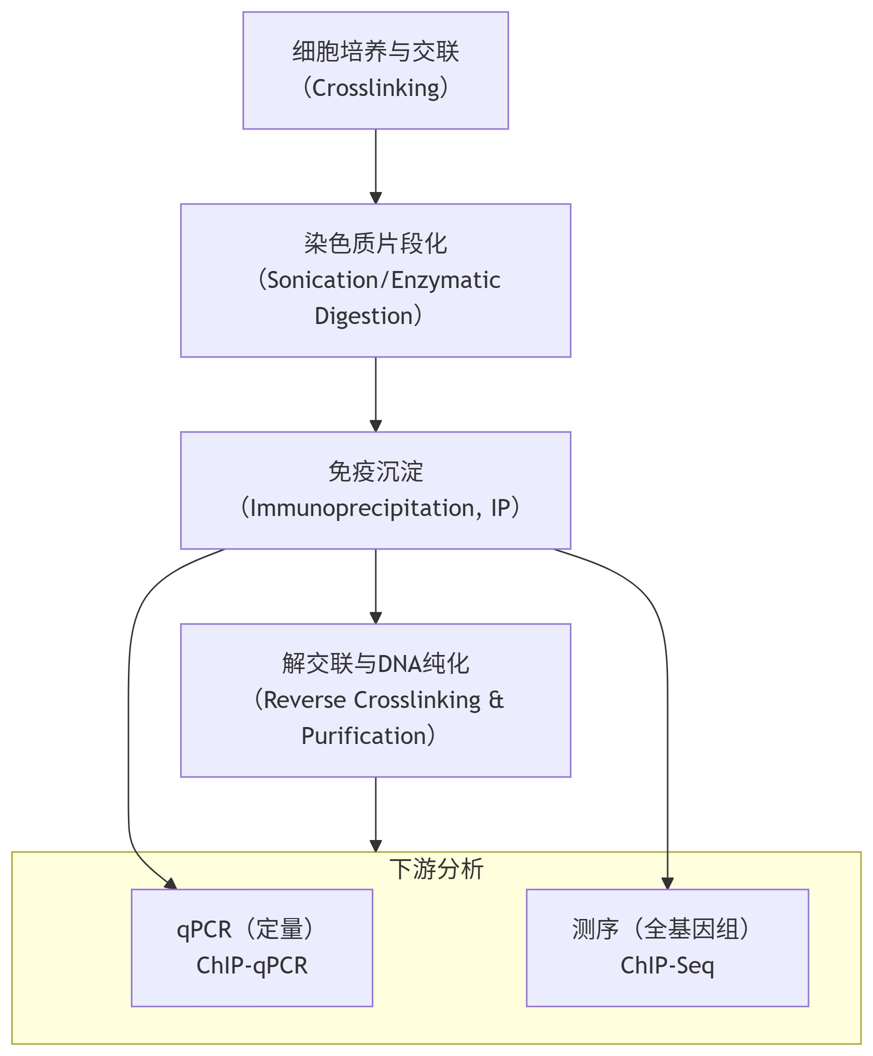 CHIP 技术全面解析指南：从原理到实战