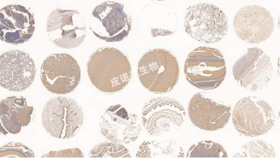 1761120380478331.png image.png