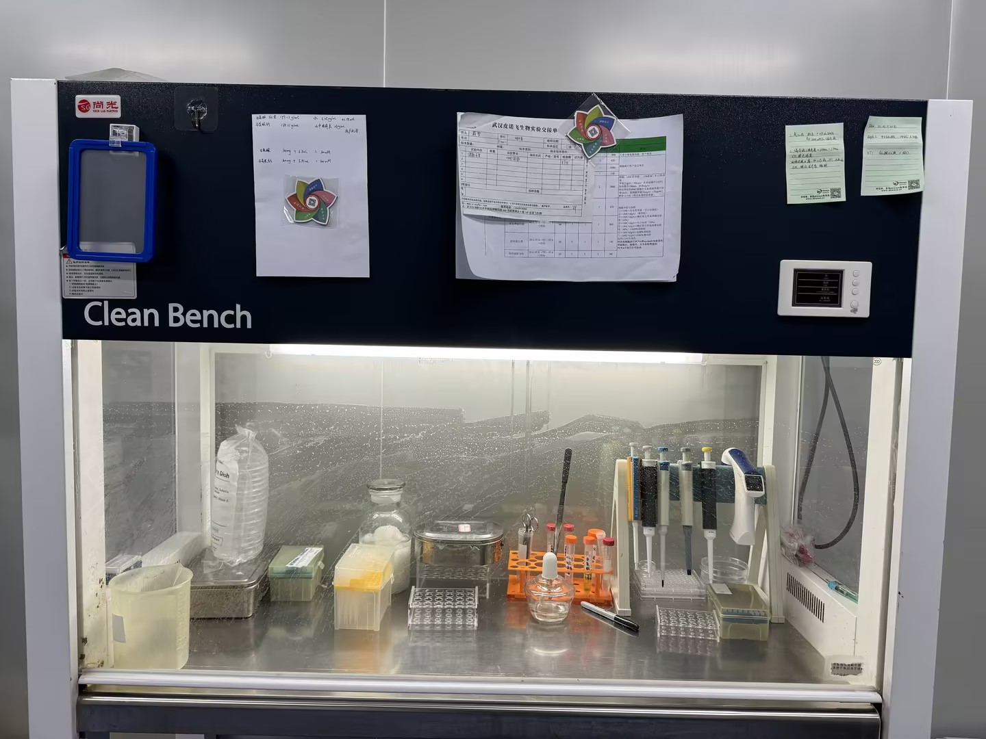 皮诺飞生物细胞实验服务 - 专业细胞实验外包平台 | 数据精准可靠